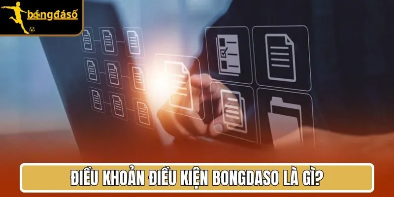 Điều khoản điều kiện Bongdaso là gì?