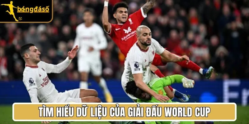 Tìm hiểu dữ liệu của Giải đấu World Cup